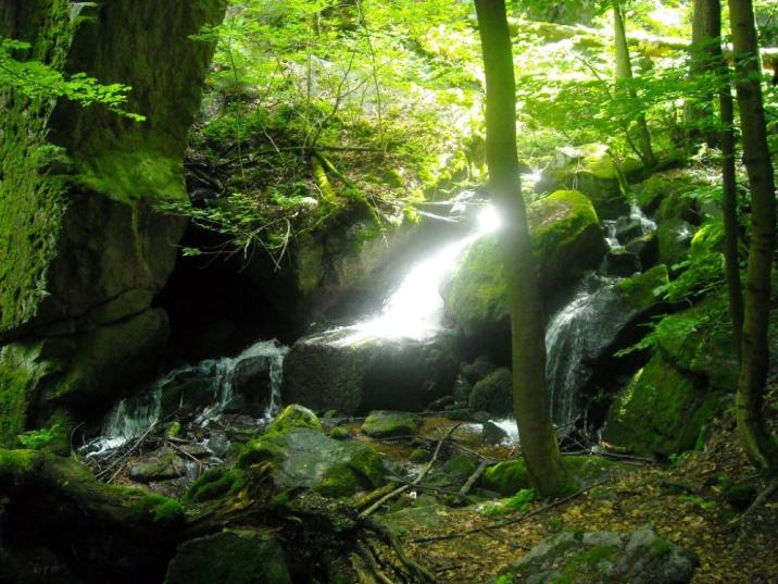 Dziki Wąwóz (fot. Marek Słupek)