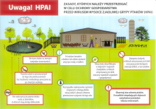 Wysoce zjadliwa grypa ptaków (HPAI)
