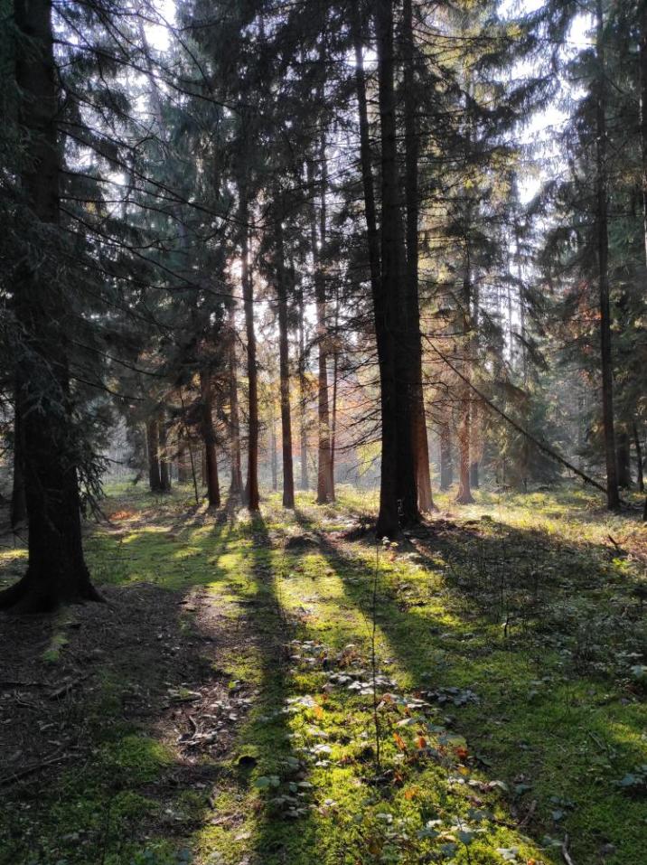 Fot. Oskar Woźniczko